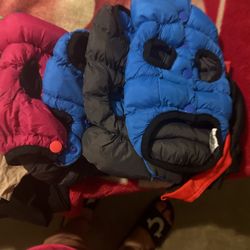 Baby’s Dog Jacket 
