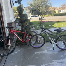 Mountain Bikes (sold as Pair)