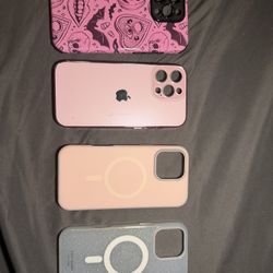 iPhone 16 Pro Max Case 