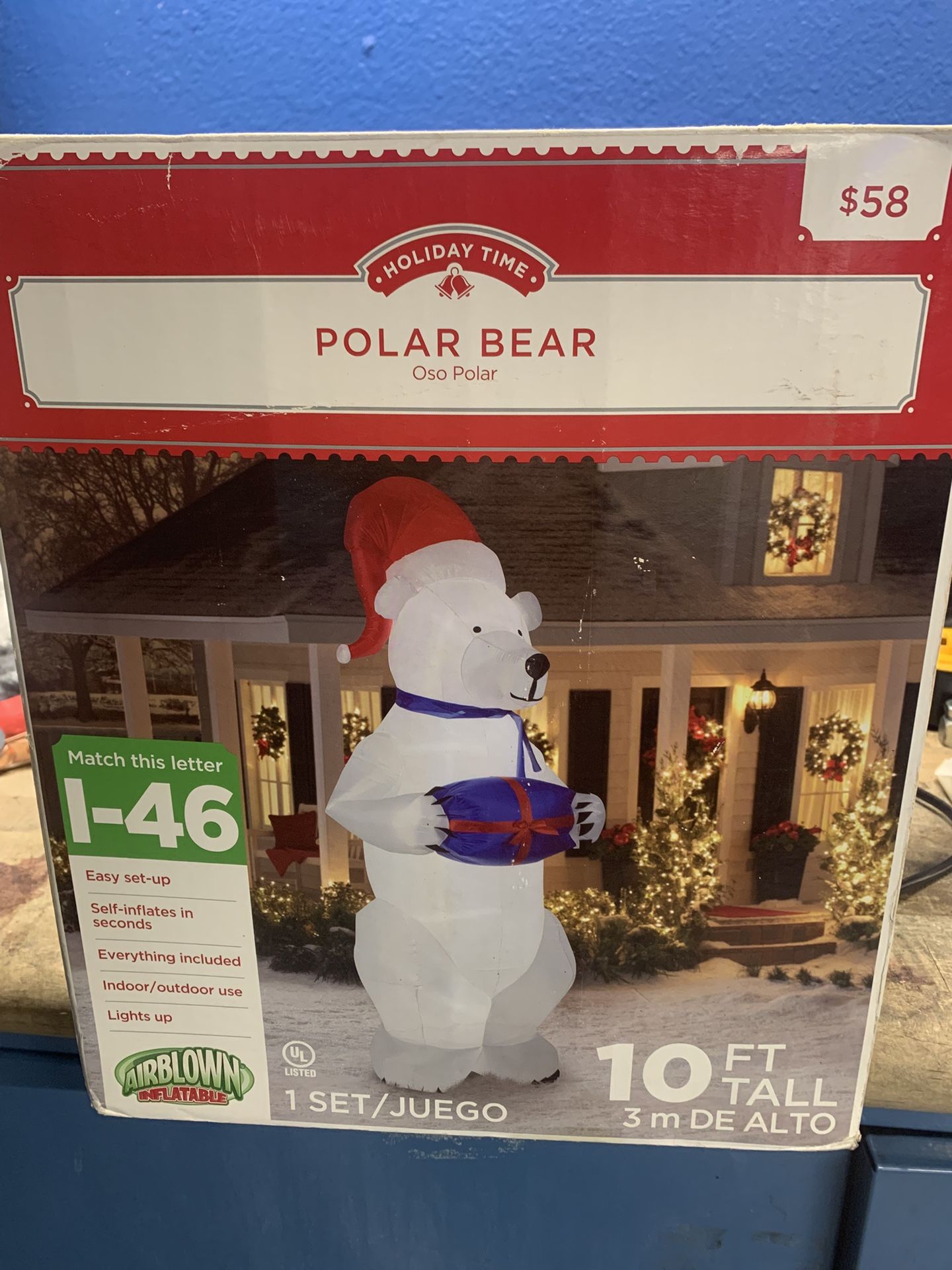 Polar Bear 