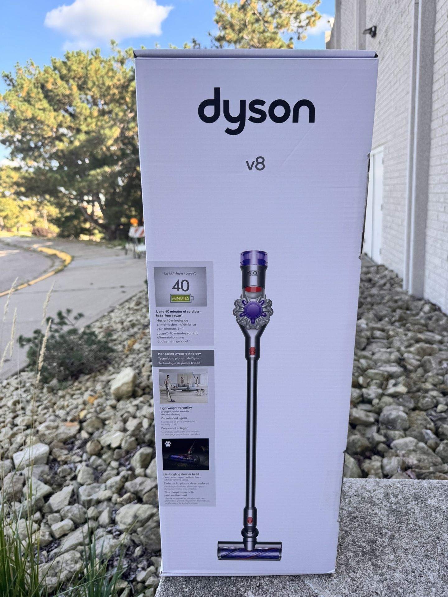 V8 Dyson Vacuum