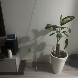 Bass Pro Shop CarboLite 2.0 Bait caster Rod