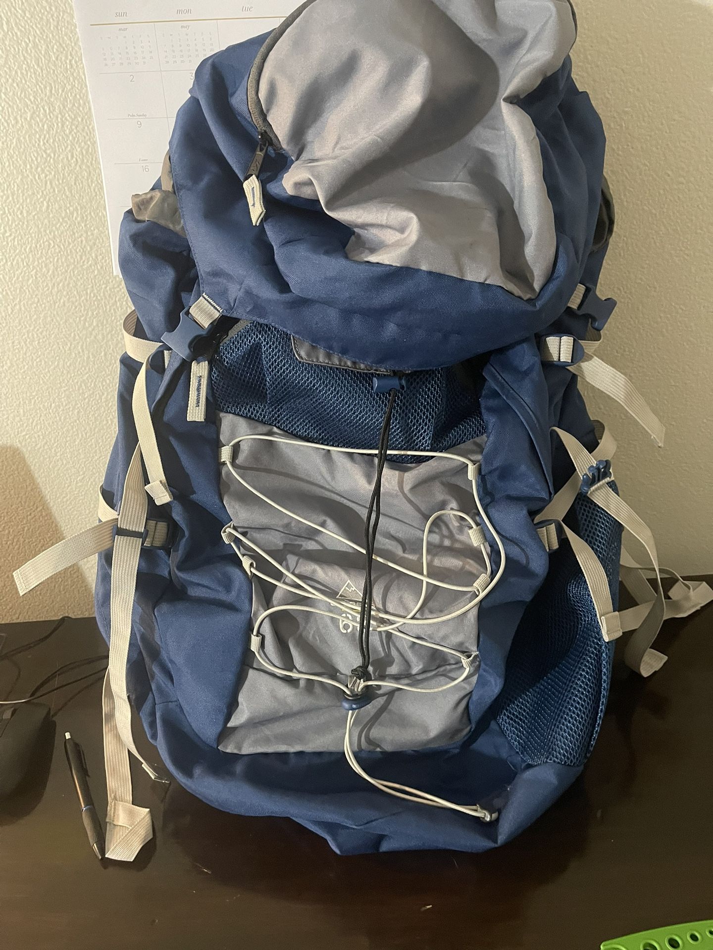Jansport Big Bear 63 Hiking Backpack