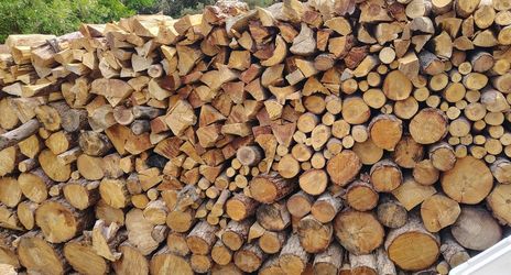 Fire Wood Pine Or Mesquite