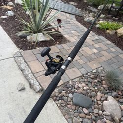 Daiwa Salt Water Fishing Combo. 