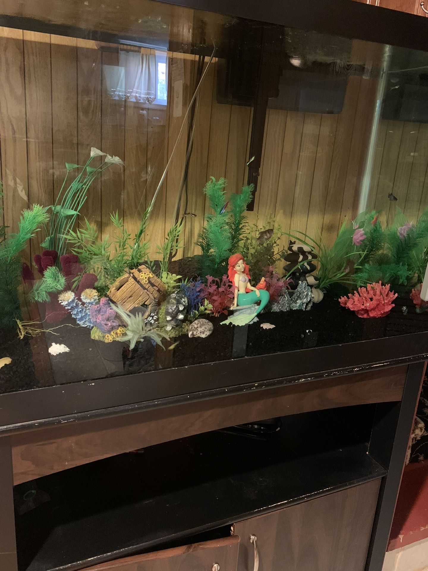 65 Gallon Tank Comes With Everything