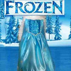 Elsa dress costume