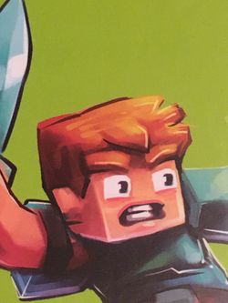 Minecraft Book Set
