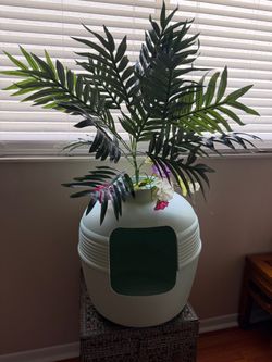 Best litter box ever