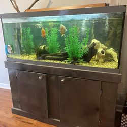 Fish Tank With Stand And Decor