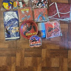 Spiderman Decoration 
