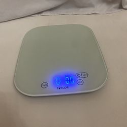 Taylor Food Scale