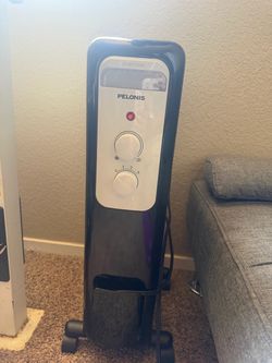 Radiator heater
