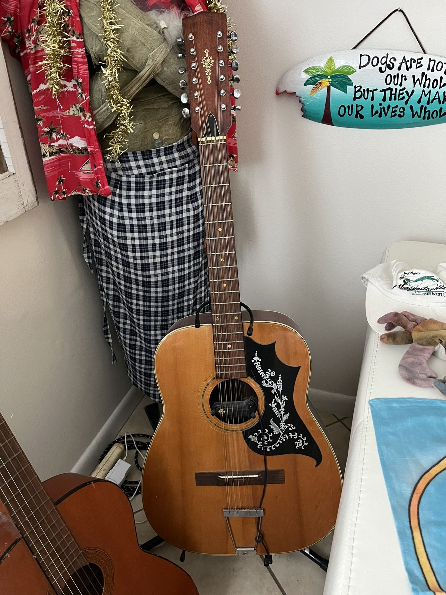 Vintage Silver Mellow Tone 12string Acoustic Guitar 