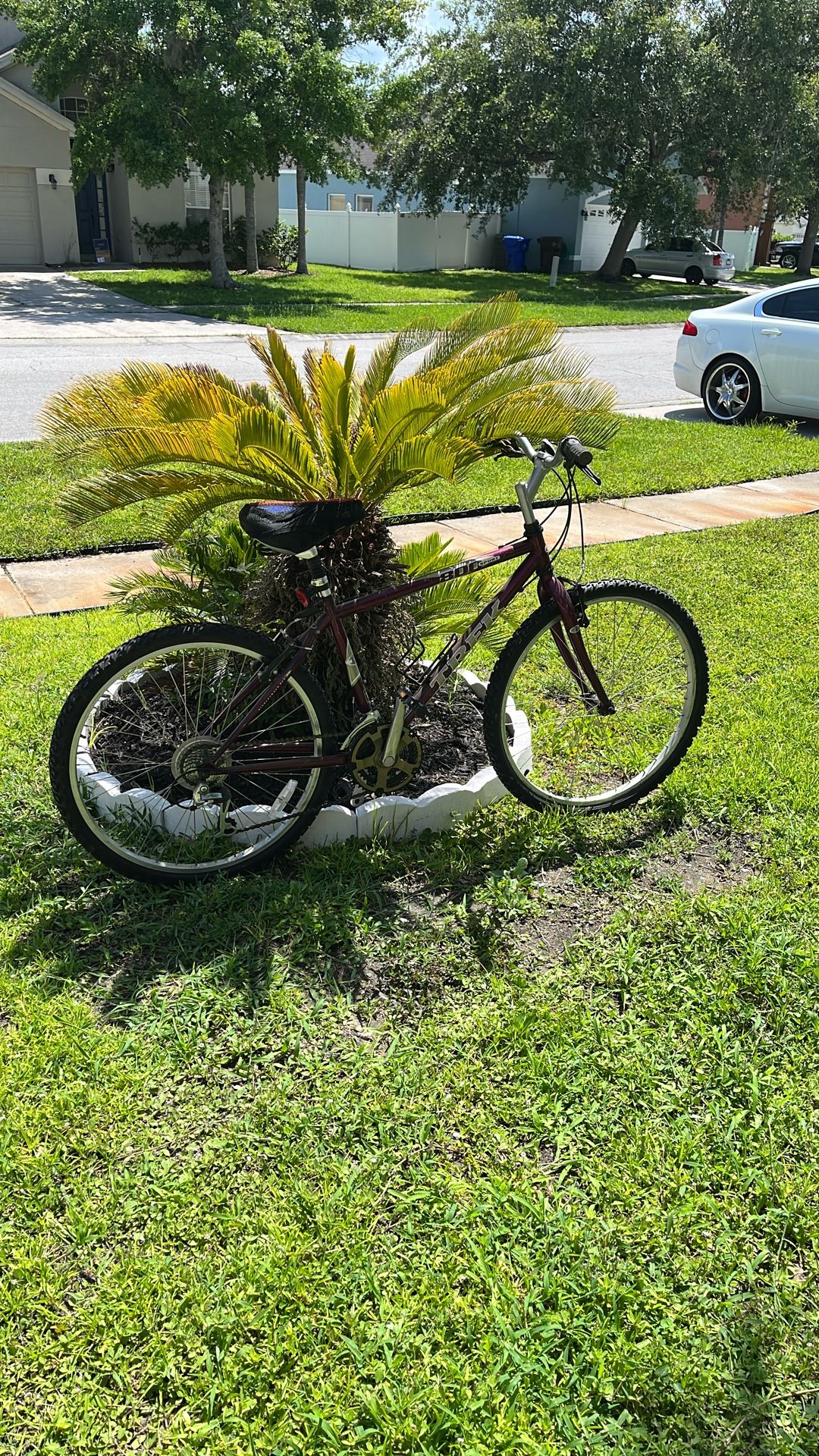 Trek 800 Sport Bicycle 10 Speed