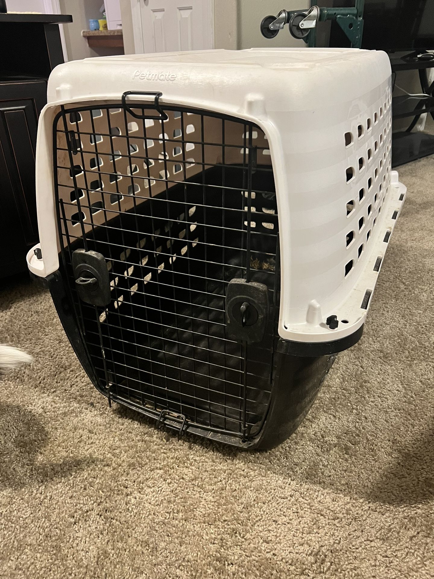 Large Petmate Dog Crate