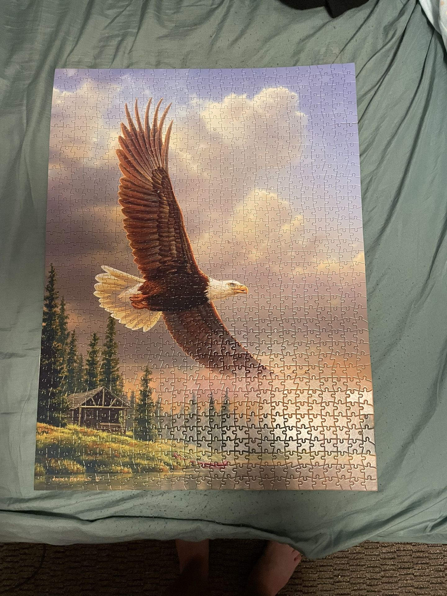 Completed 1000 Piece Bald Eagle Puzzle on Adhesive Paper