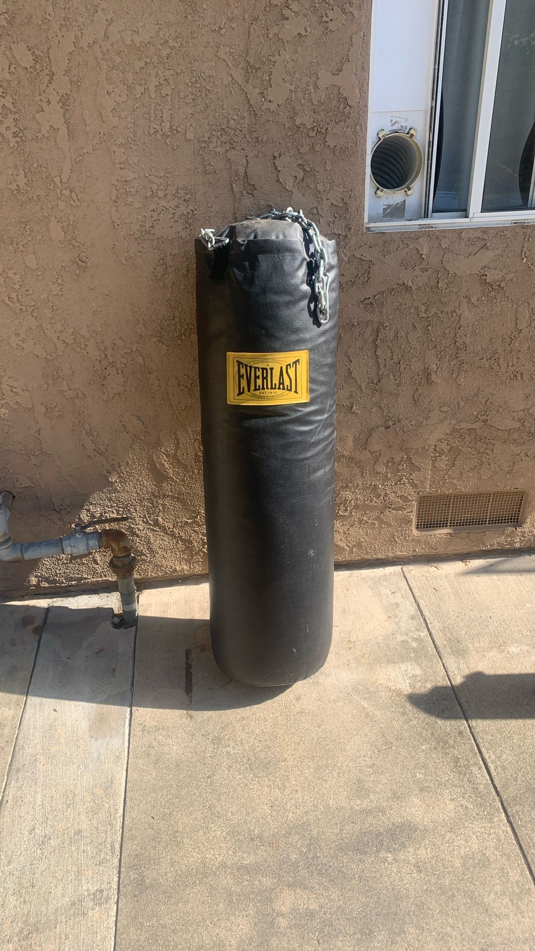 Everlast Punching Bag