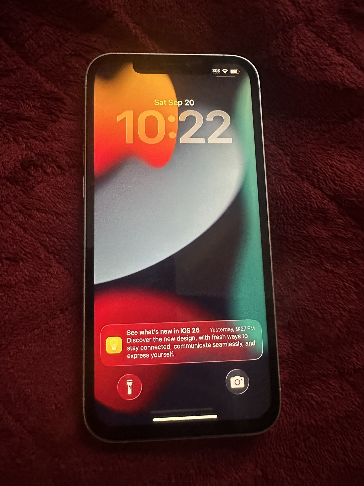 iPhone 12 Pro Max