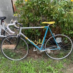 Raleigh Technium Bike