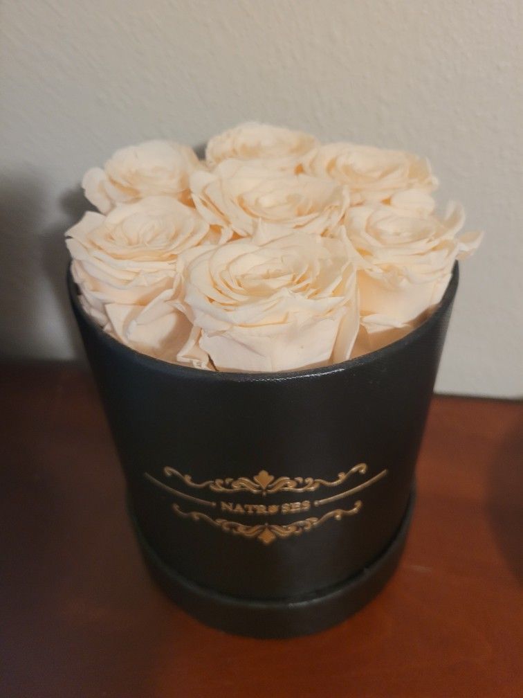 Real Preserved Roses