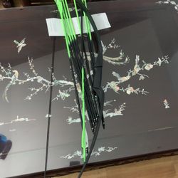 Raptor Bow And Arrow Set