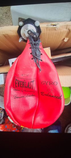 EVERLAST SPEED PUNCHING BAG / PLATFORM.