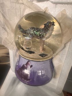 Native american snow globe