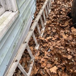 Ladder