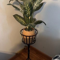 Plant Holder 