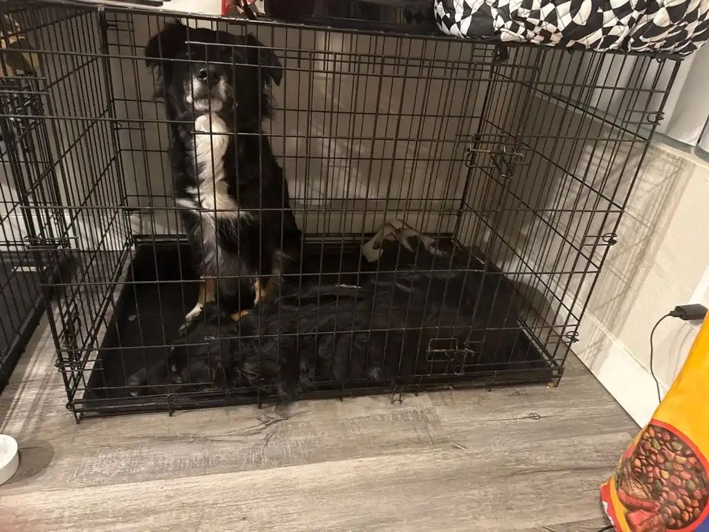 X-Large double door dog crate