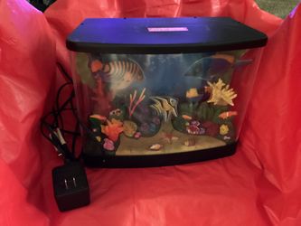 Fish Tank Not Real