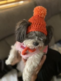 Winter Hand Crocheted Doggie 🐶 Hats