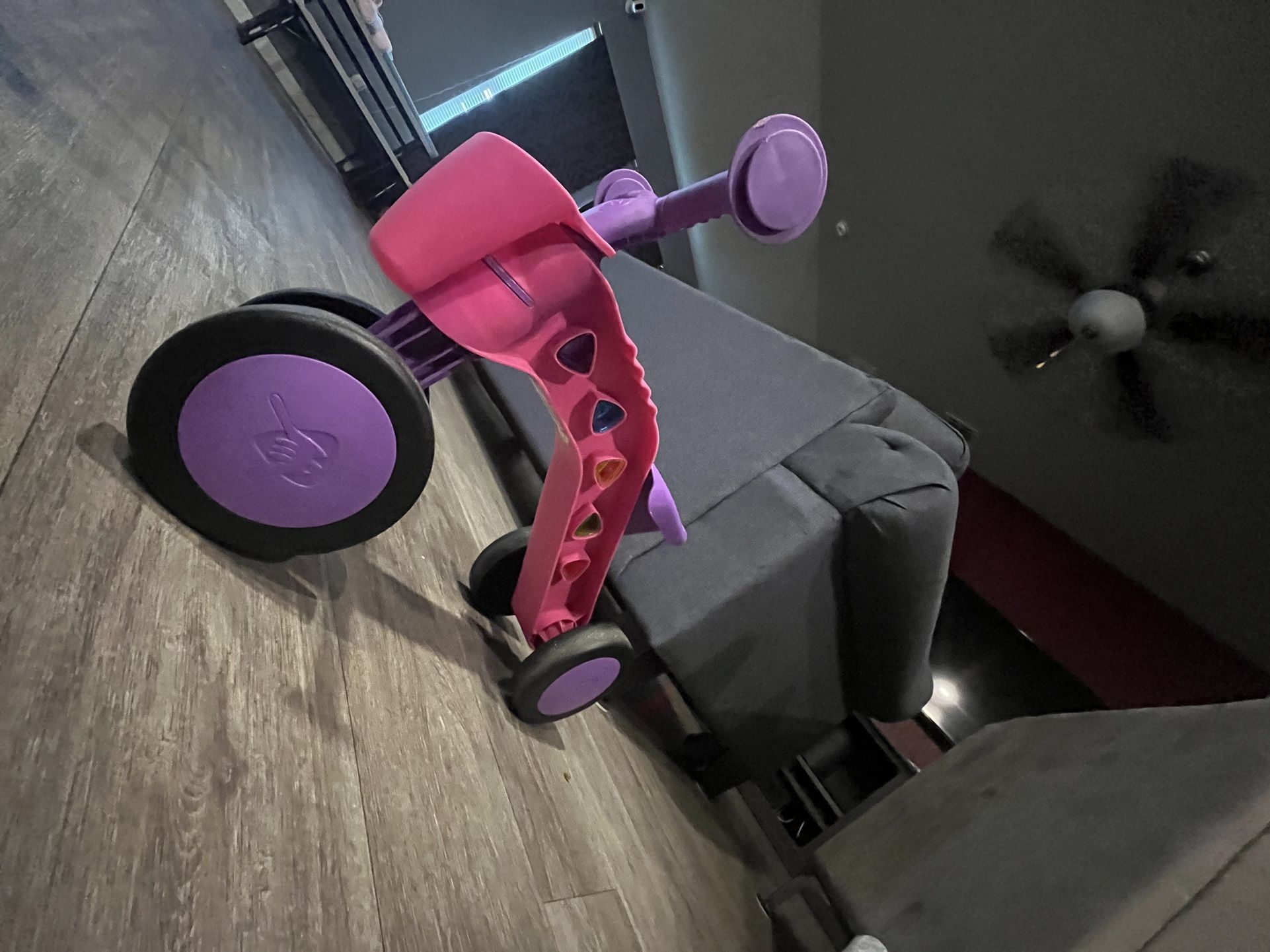 Toddler Bike 