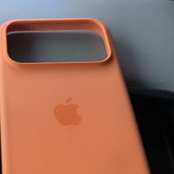 iPhone 17 Pro Max Case 