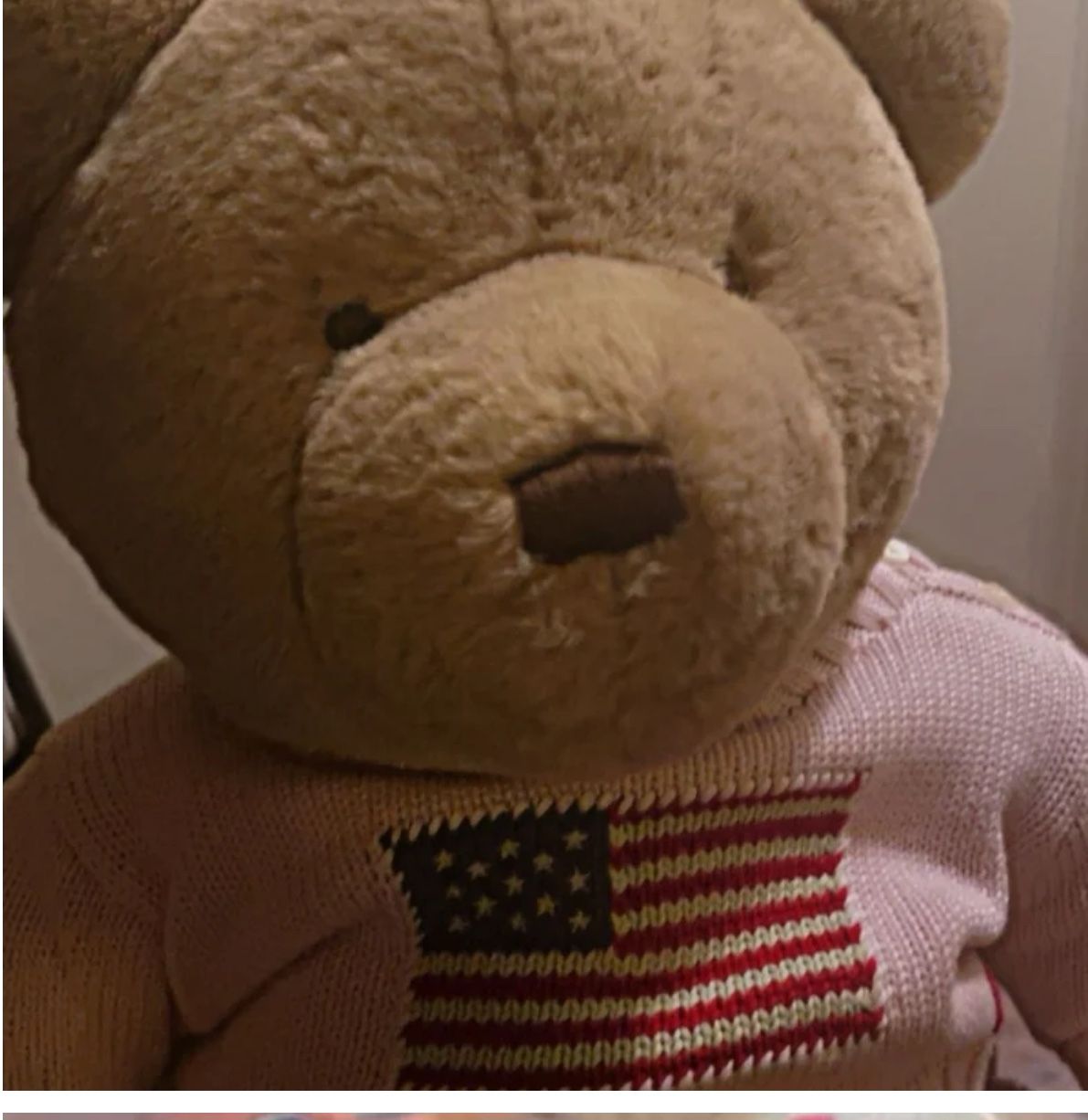 Polo Bear plush
