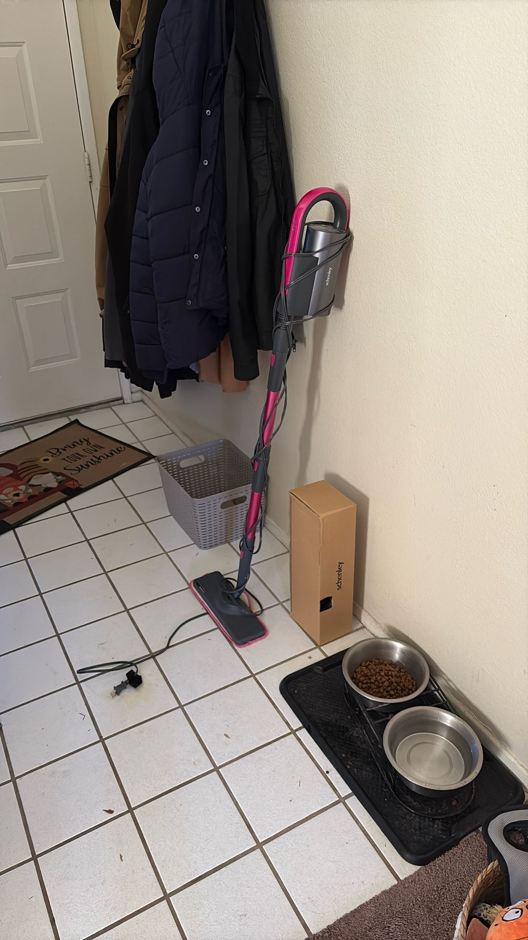 Steam Mop And Accessories 