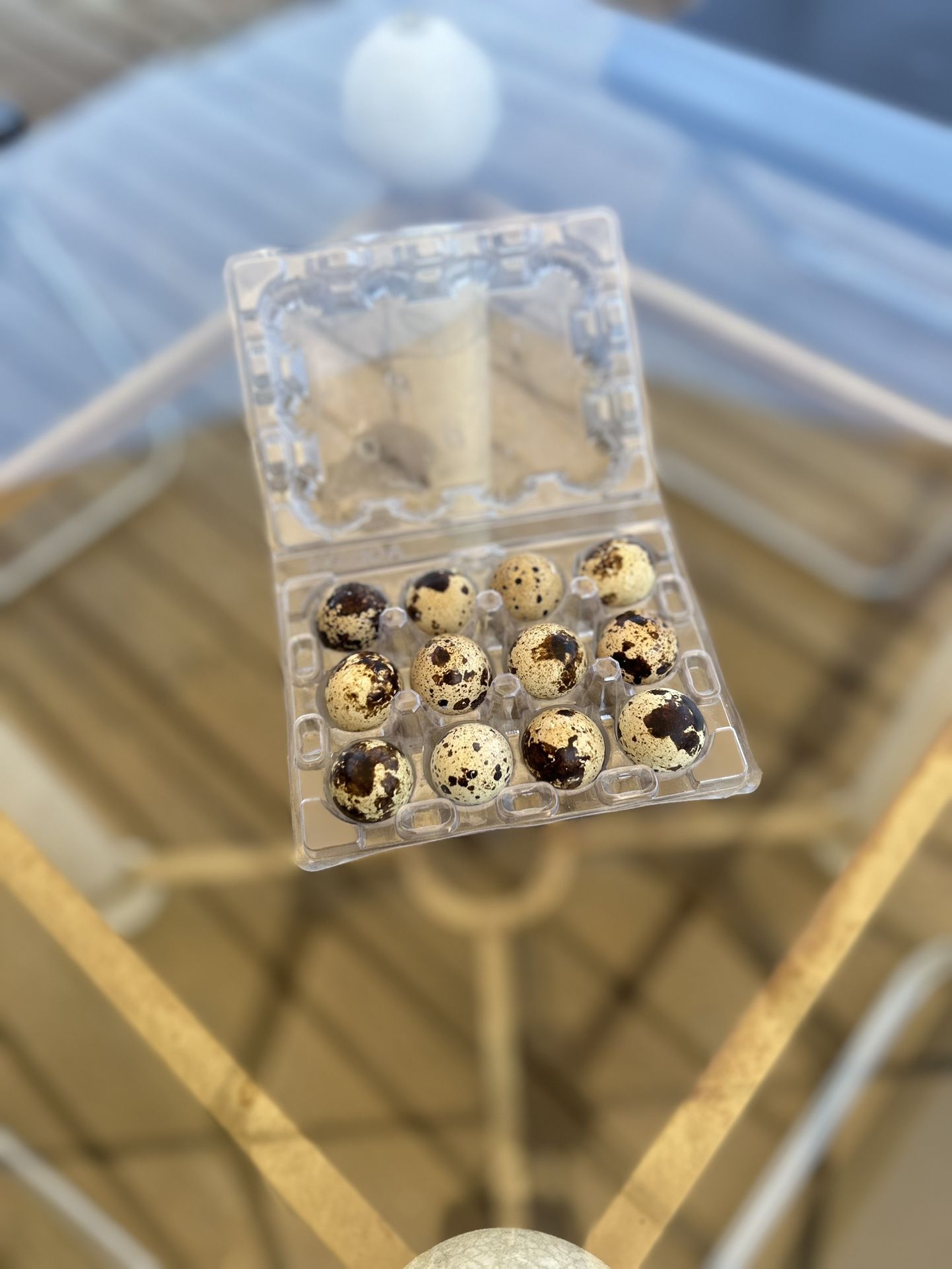 Fresh Quail Eggs
