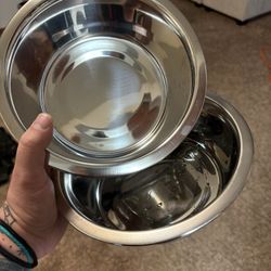 Dog Bowls 