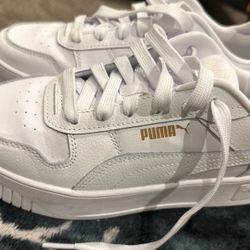Pumas 