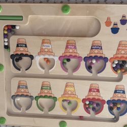 Montessori Wooden Magnetic Color Sorting Toy
