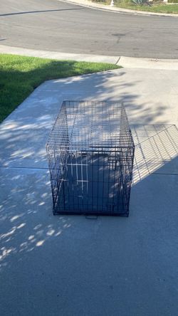 Folding Metal Wire Dog Crate