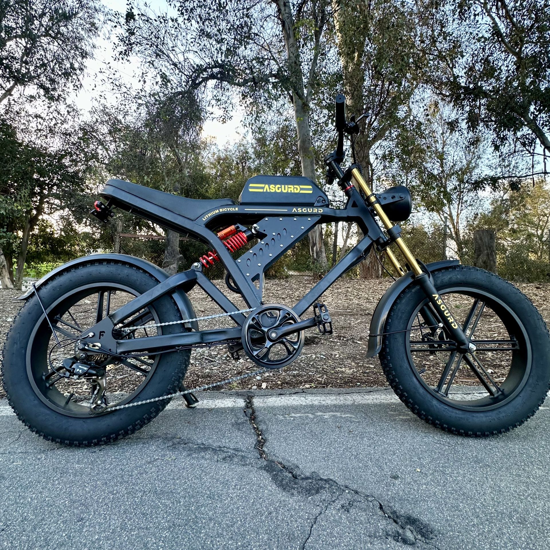 Electric Bike