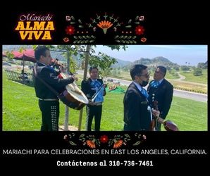 Violin de mariachi