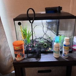 5 Gallon Fish Tank. With Extras. 