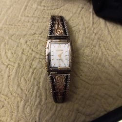 Montana Silver CO WATCH