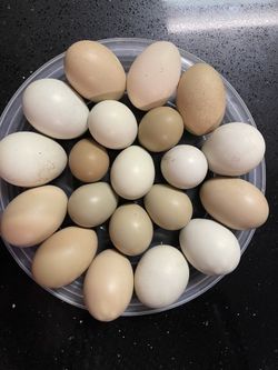 Eggs
