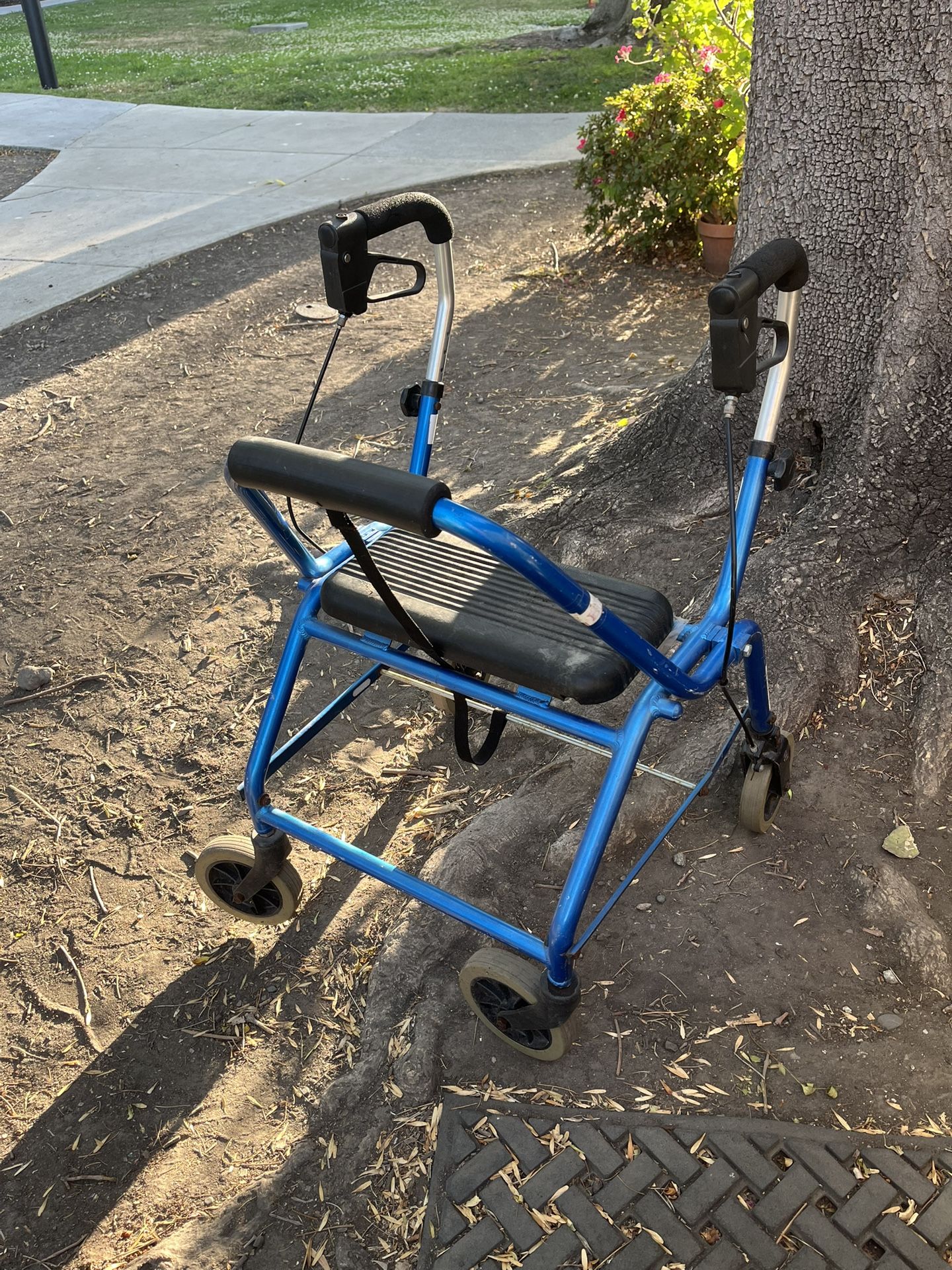 Blue Walker With Seat