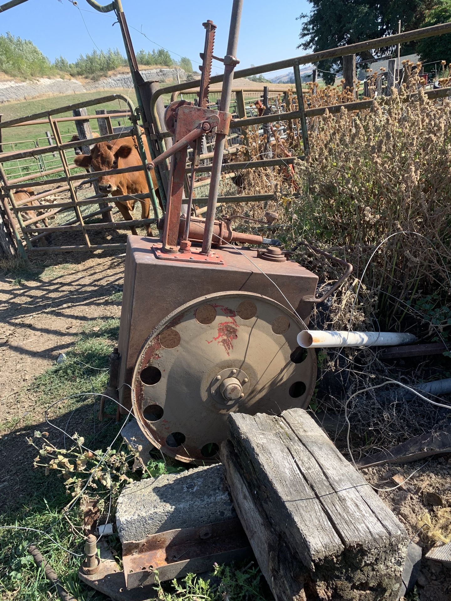 Old Oil Drum? I’m Guessing That Is What It Is