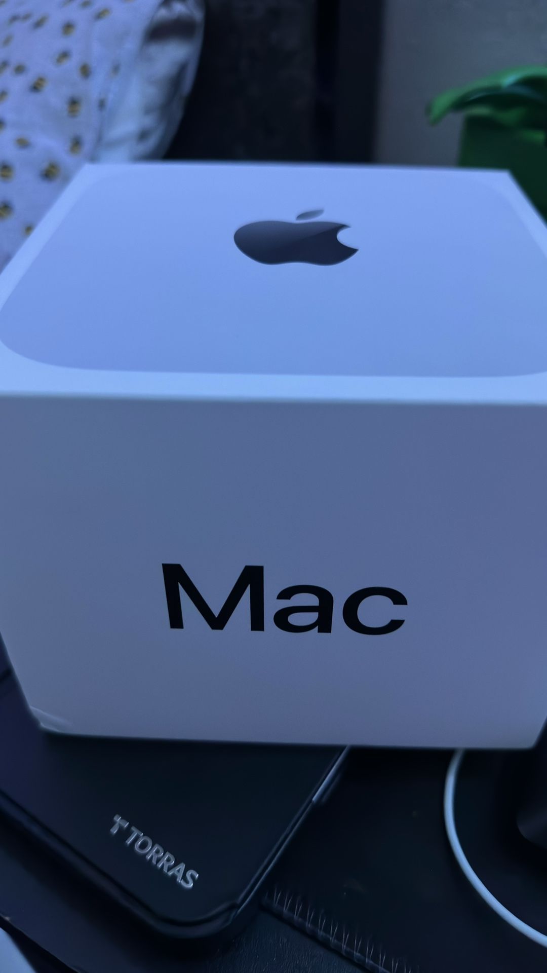 Mac Mini M4 Chip | 16GB 256GB SSD